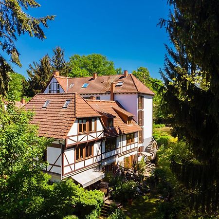 Einliegerwohnung In Einer Muehle Vor Den Toren Frankfurts, Ideal Fuer Messegaeste Oder Stop Over Dreieich Extérieur photo