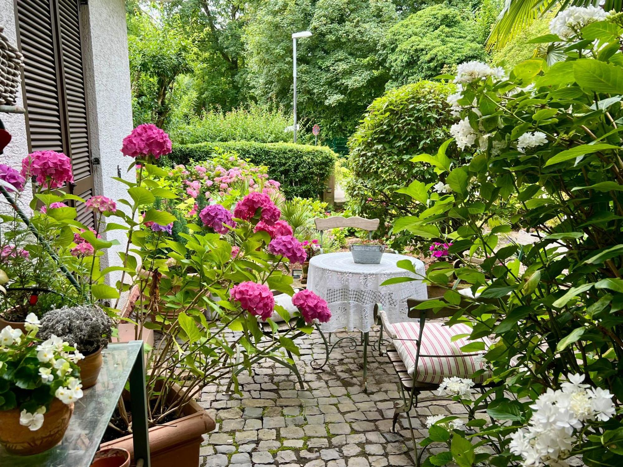 Einliegerwohnung In Einer Muehle Vor Den Toren Frankfurts, Ideal Fuer Messegaeste Oder Stop Over Dreieich Extérieur photo