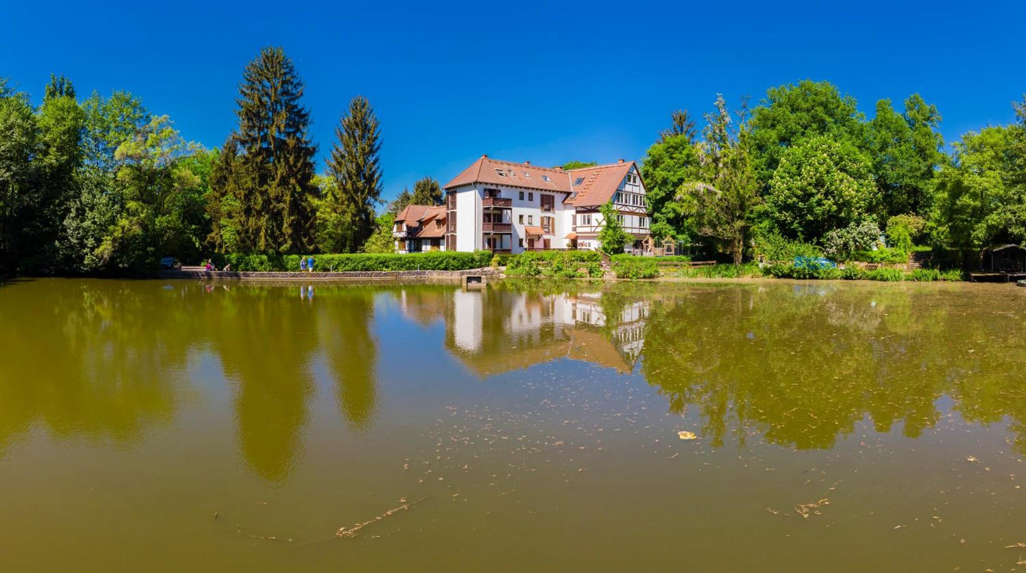Einliegerwohnung In Einer Muehle Vor Den Toren Frankfurts, Ideal Fuer Messegaeste Oder Stop Over Dreieich Extérieur photo