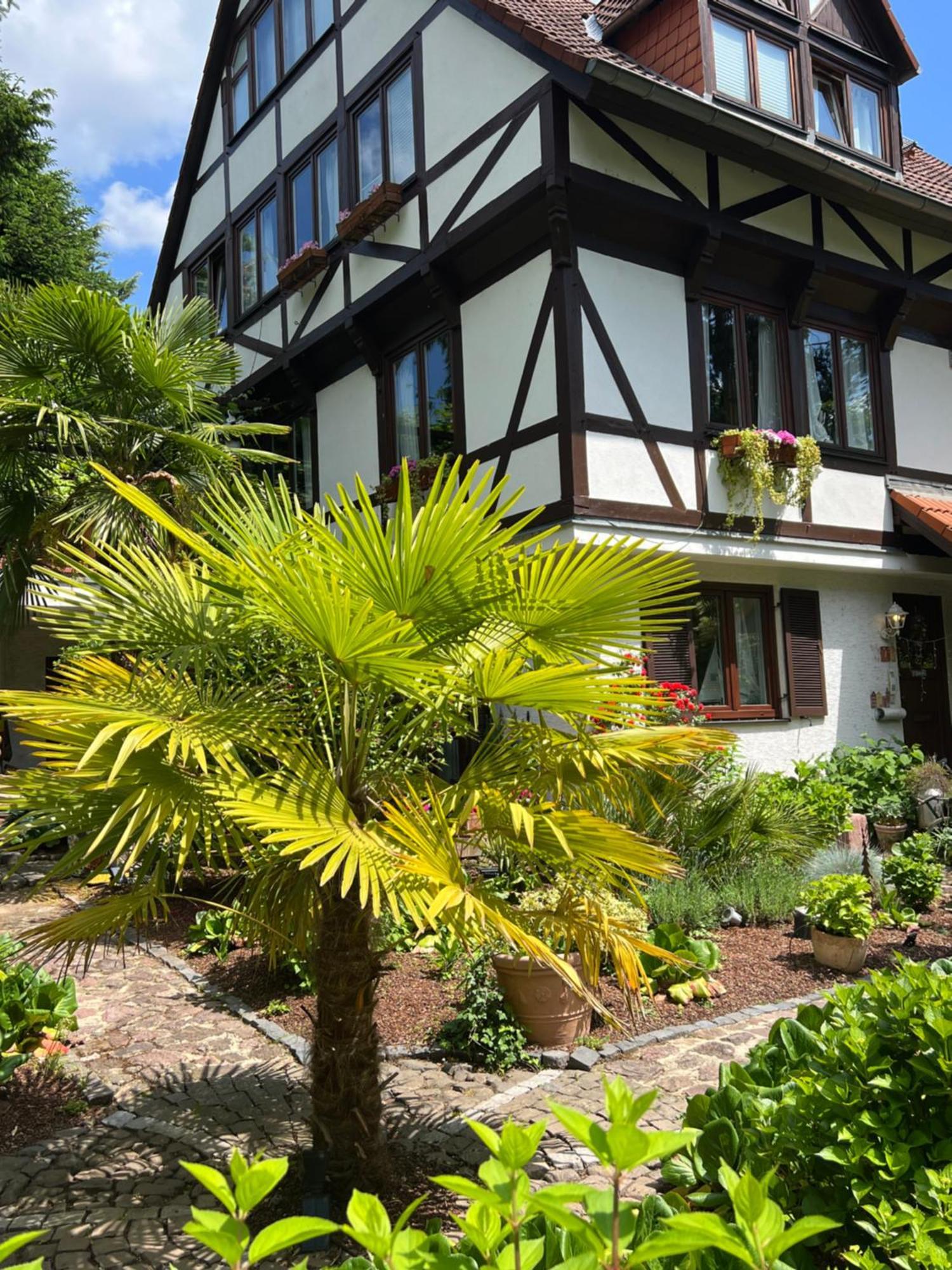 Einliegerwohnung In Einer Muehle Vor Den Toren Frankfurts, Ideal Fuer Messegaeste Oder Stop Over Dreieich Extérieur photo